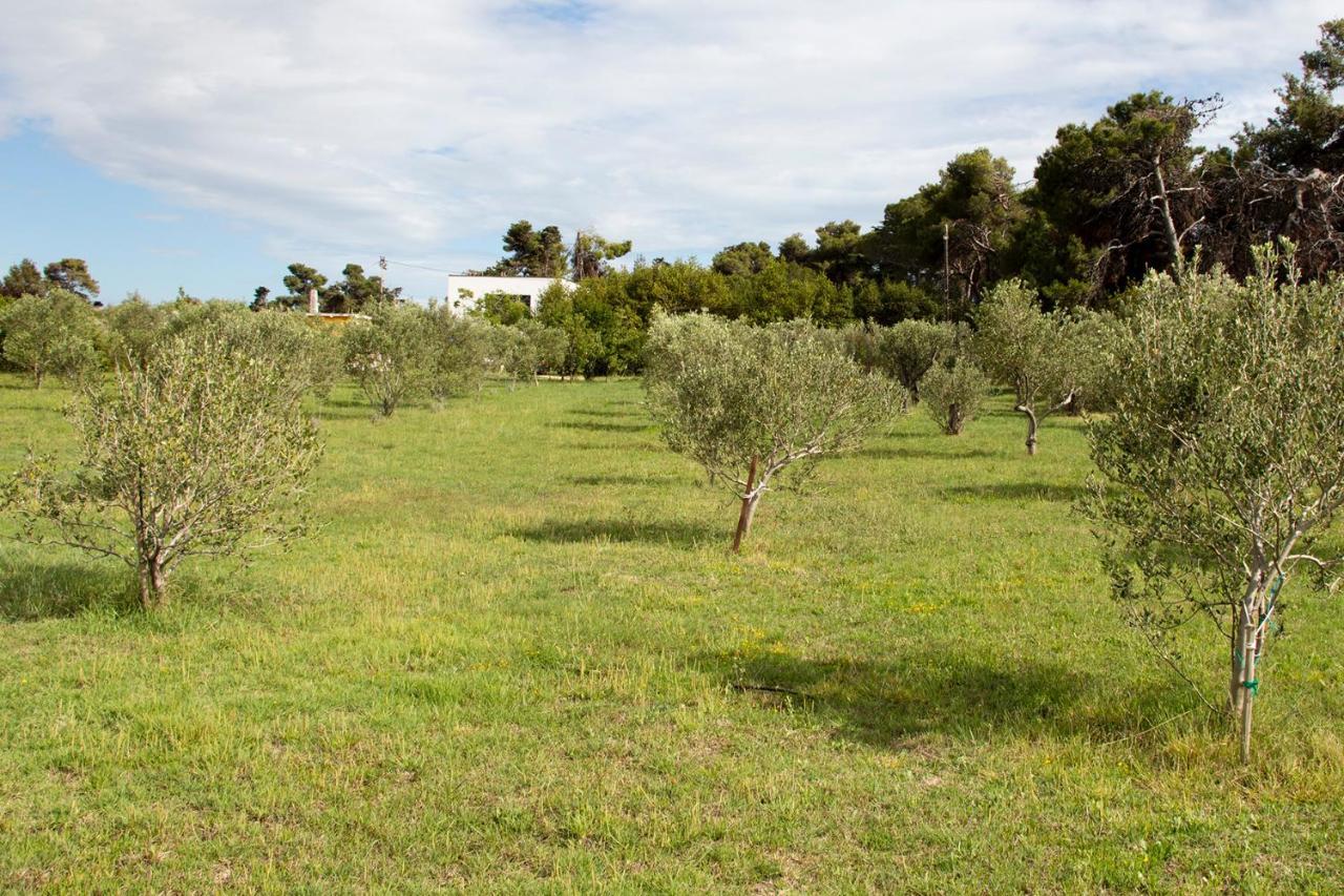 Villa Rosemary Park Zadar Eksteriør bilde
