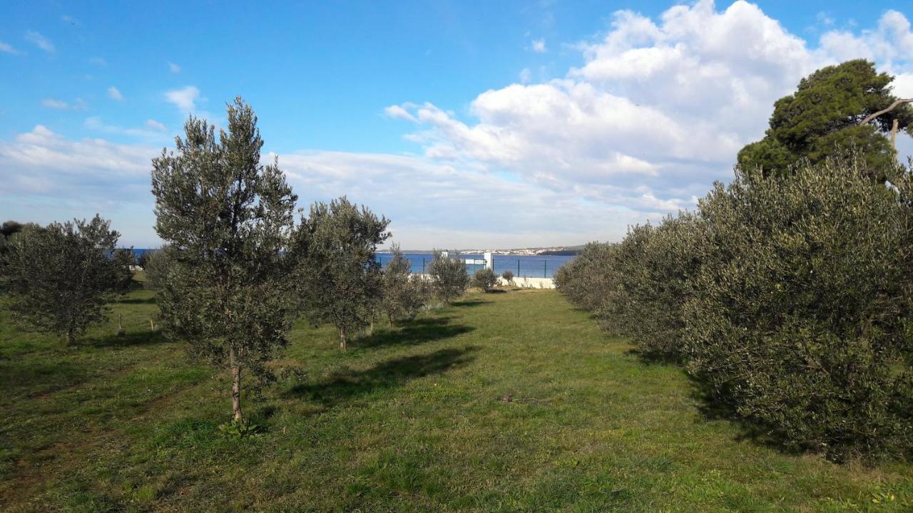 Villa Rosemary Park Zadar Eksteriør bilde