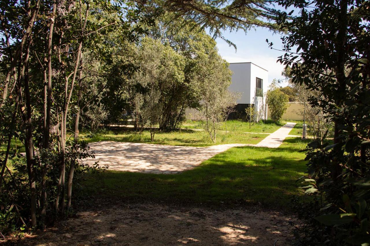 Villa Rosemary Park Zadar Eksteriør bilde