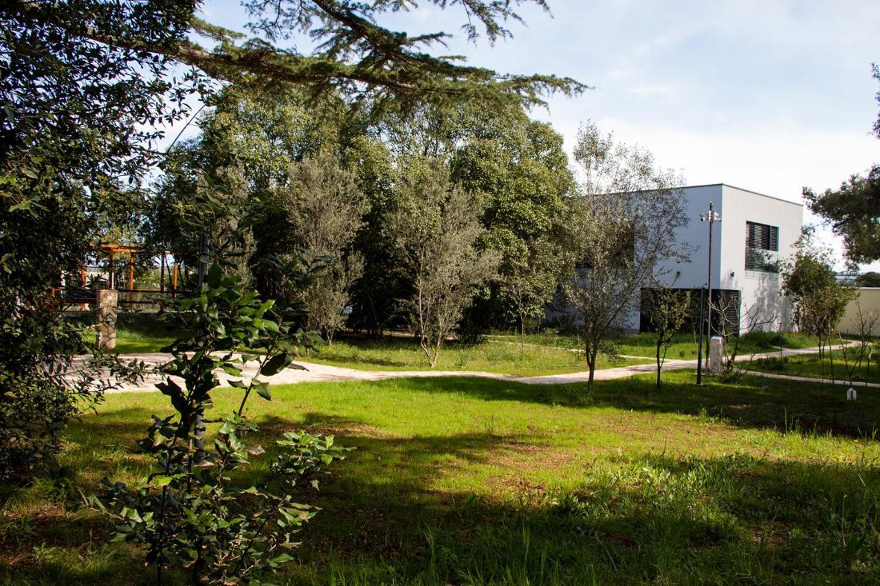 Villa Rosemary Park Zadar Eksteriør bilde