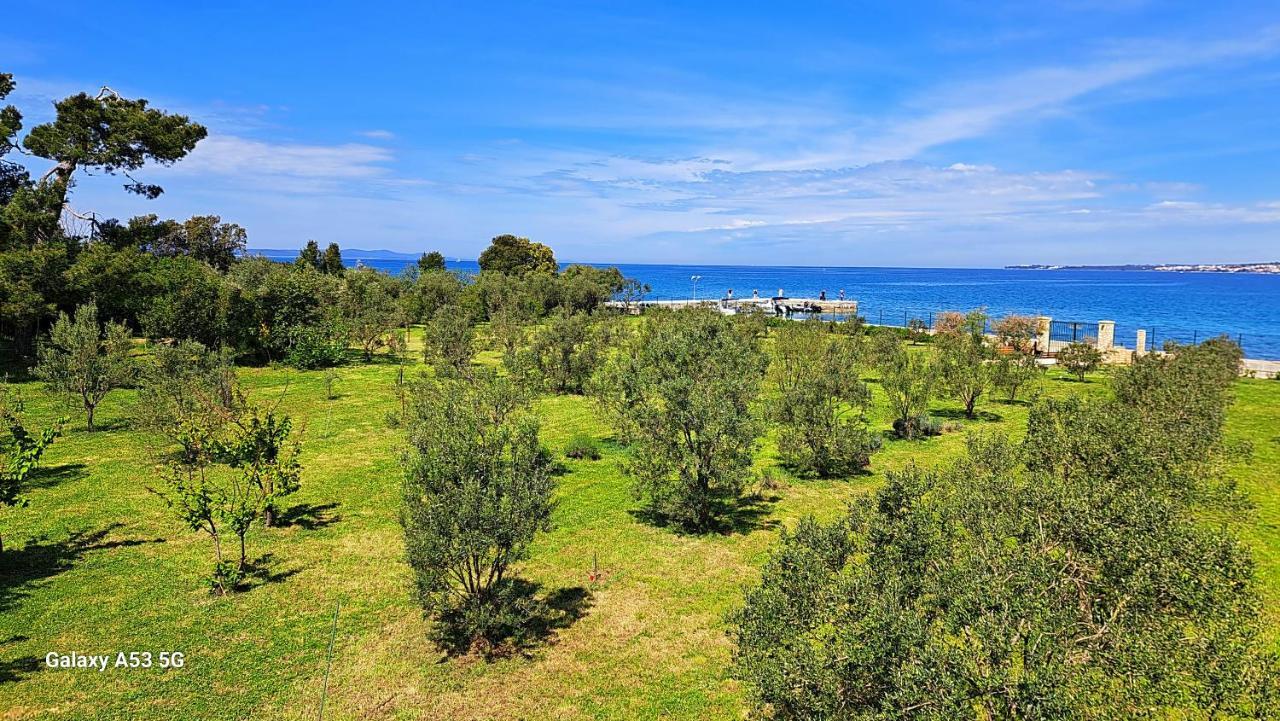 Villa Rosemary Park Zadar Eksteriør bilde